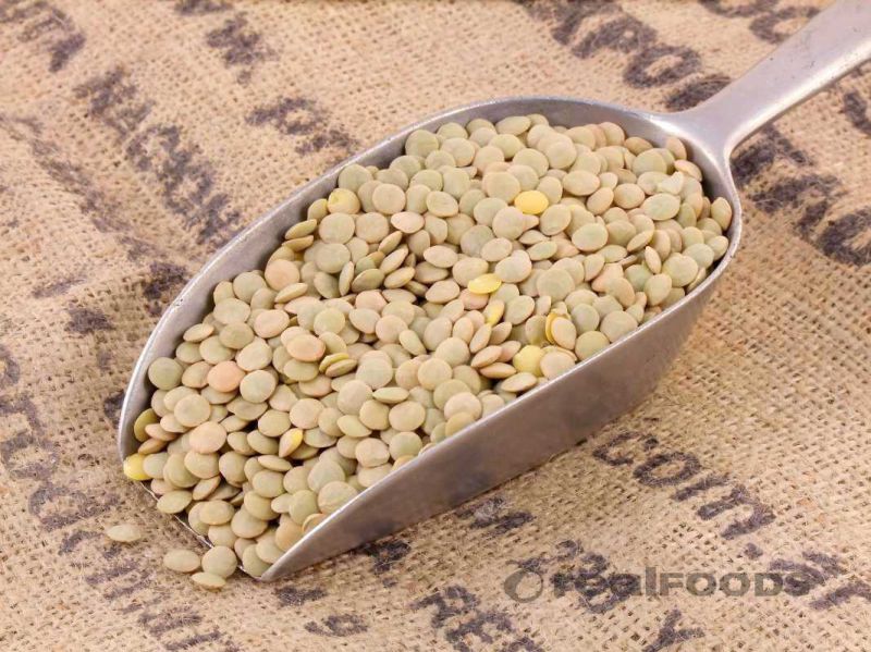 How do I cook Lentils?